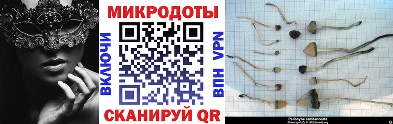 Псилоцибиновые грибы ЛСД  Чусовой 